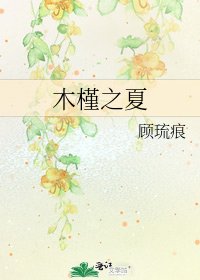 木槿之夏