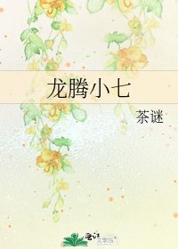 龙腾小七
