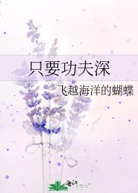 《只要功夫深》