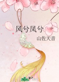 风兮凤兮
