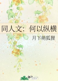 同人文:何以纵横