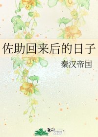 《佐助回来后的日子》