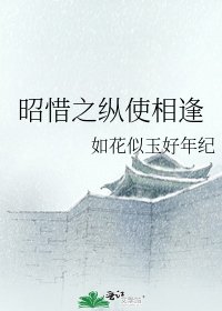 《昭惜之纵使相逢》