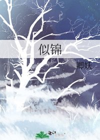 《似锦》