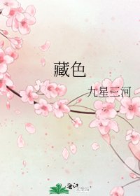 藏质