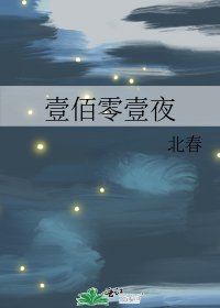 《壹佰零壹夜》