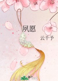 夙愿