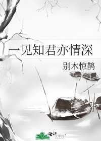 《一见知君亦情深》