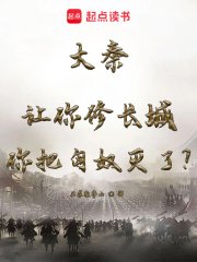大秦:让你修长城你把匈奴灭了?