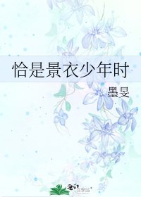 恰是景衣少年时