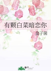 有颗柏菜暗恋你