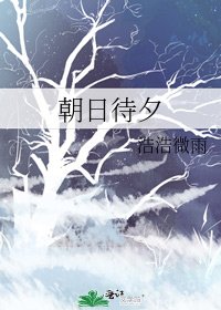 《朝日待夕》