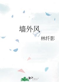 墙外风