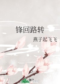 《锋回路转》