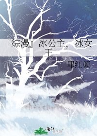 『综漫』冰公主,冰女王