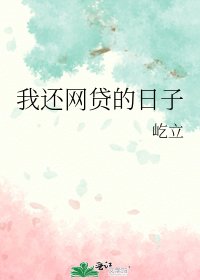 我还网贷的碰子