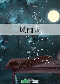 《風雨錄》