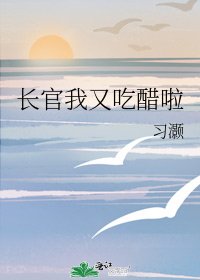 《长官我又吃醋啦》