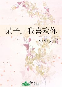 呆子,我喜欢你