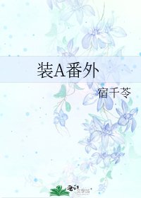 《装A番外》