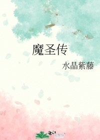 魔圣传