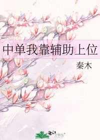 《中单我靠辅助上位》