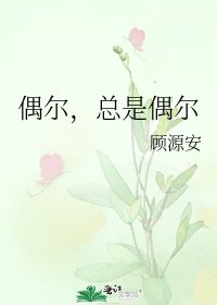 《偶尔,总是偶尔》