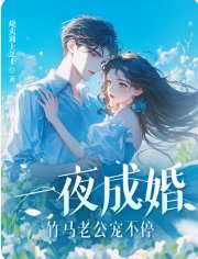 一夜成婚,竹马老公宠不停!