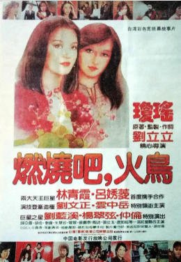 燃烧吧!火绦(出版书)
