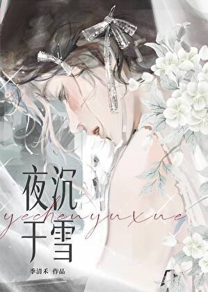 《夜沉于雪》