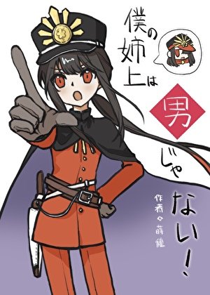 (综漫同人)我的姐姐大人不可能是男人!!
