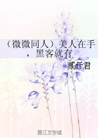 （BL/微微同人）美人在手，黑客就有