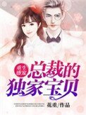 《重生盛宠:总裁的独家宝贝》