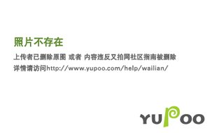 《纽约僵尸宝宝》