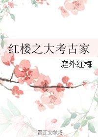 （BG/紅樓同人）紅樓之大考古家