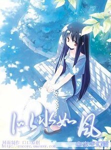 《(死神+网王同人)似水如风》