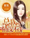 《总裁,情深不浅》