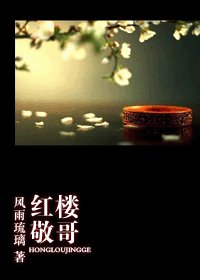 【红楼同人】红楼-敬哥