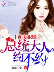 《萌妻很嫩:總統大人,約不約》