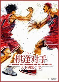 (SD同人/BL)棋逢对手